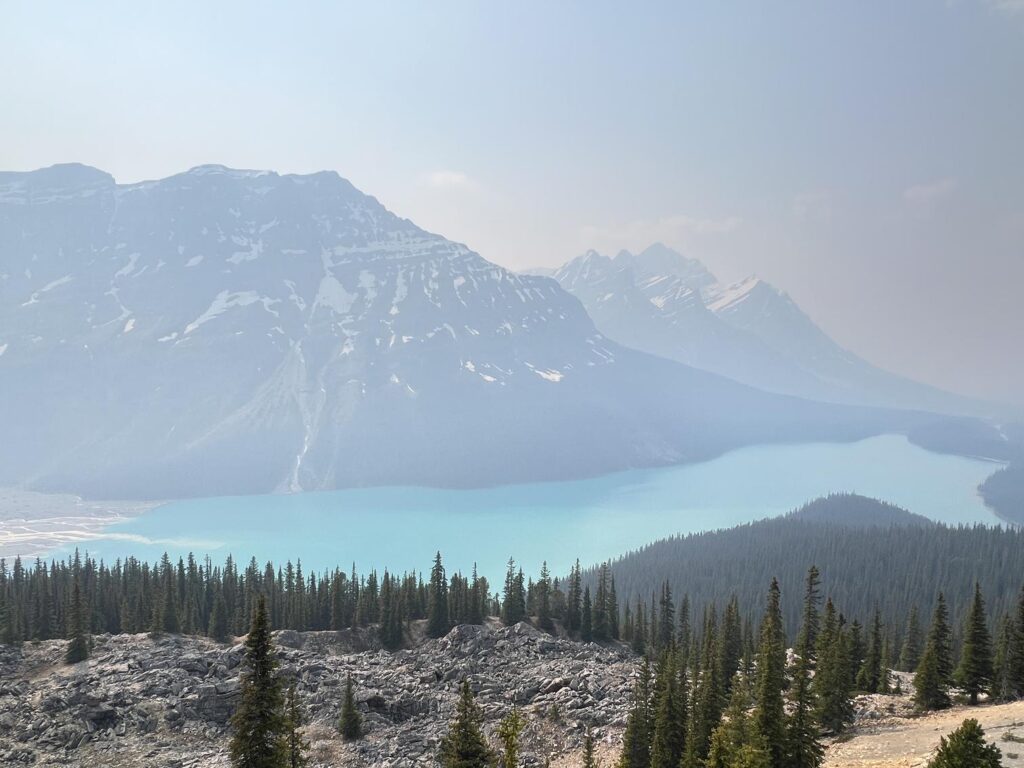 佩托湖（Peyto Lake）
